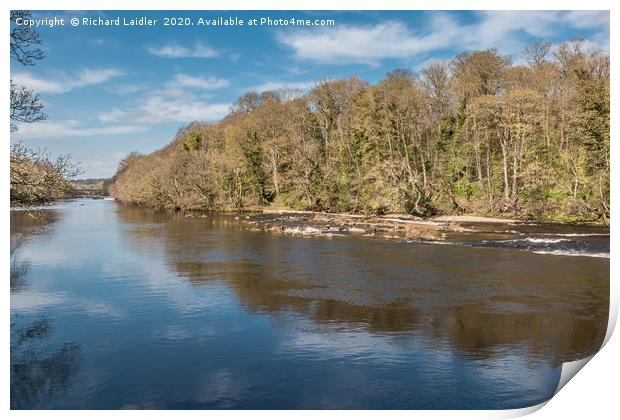Early Spring on the River Tees at Wycliffe Print by Richard Laidler