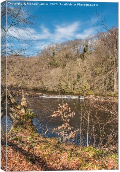 Spring morning on the River Tees at Whorlton Canvas Print by Richard Laidler