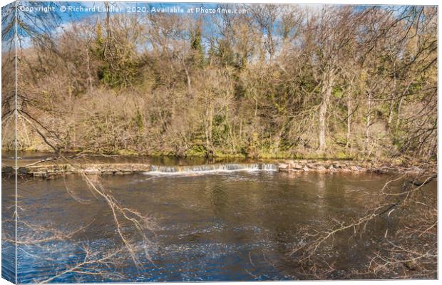 Early spring on the River Tees at Whorlton Canvas Print by Richard Laidler