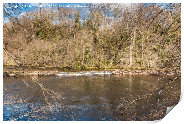 Early spring on the River Tees at Whorlton Print by Richard Laidler