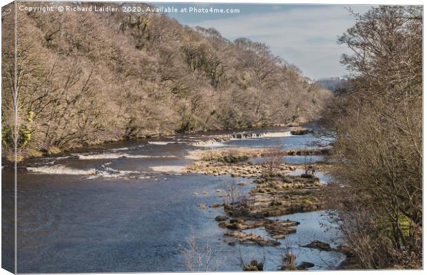 The River Tees from Whorlton Bridge Canvas Print by Richard Laidler