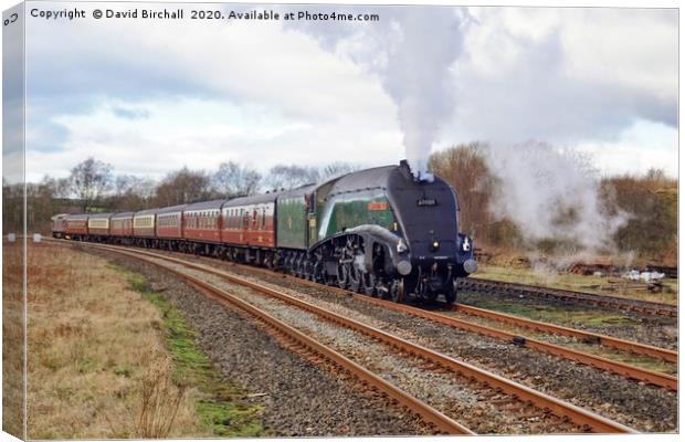 60009 Union Of South Africa approaching Hellifield Canvas Print by David Birchall