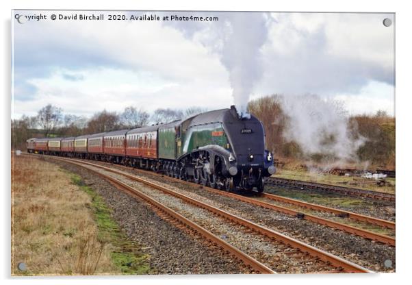 60009 Union Of South Africa approaching Hellifield Acrylic by David Birchall