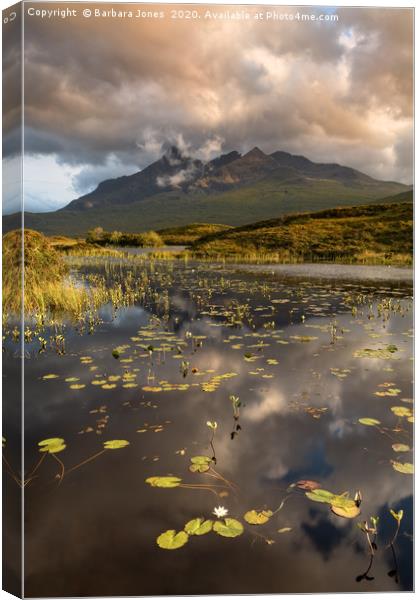 Skye Cuillin Hills Summer Scene at Sligachan   Canvas Print by Barbara Jones