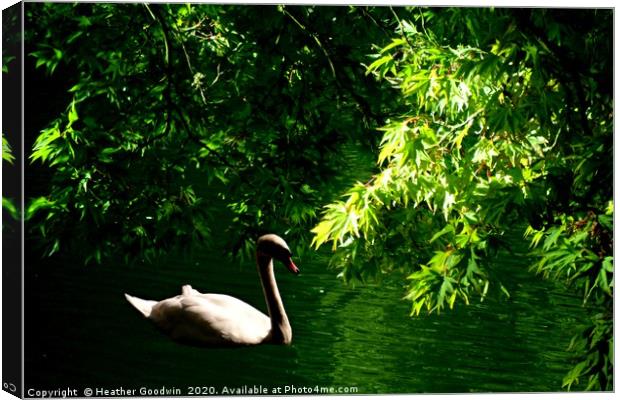 Quiet Waters Canvas Print by Heather Goodwin