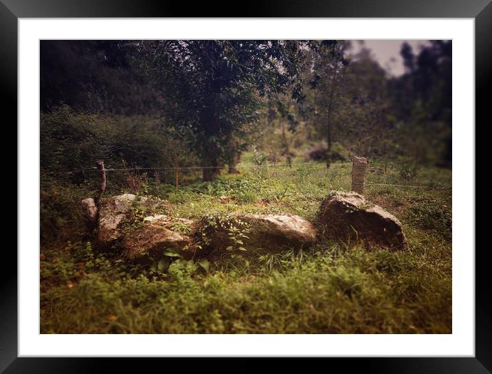 Rural landscape Framed Mounted Print by Larisa Siverina