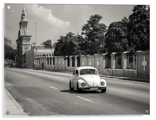 Beetle juice, Colon Cemetery, Havana Acrylic by Sophie Shoults