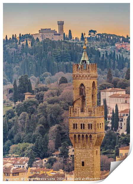 Aerial View Florence, Italy Print by Daniel Ferreira-Leite