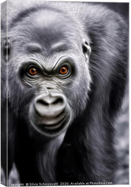 Gorilla  Canvas Print by Silvio Schoisswohl