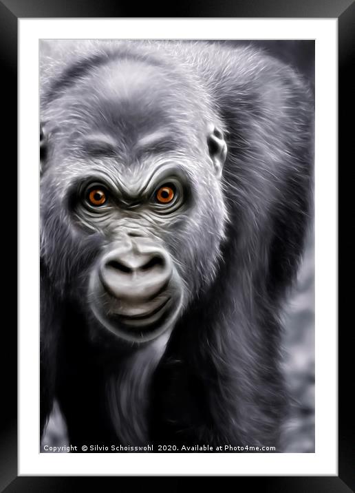 Gorilla  Framed Mounted Print by Silvio Schoisswohl