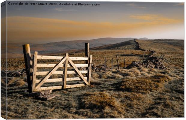 Shinning Gate near to Fountains Fell on the Pennin Canvas Print by Peter Stuart