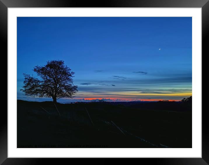 My Favourite Tree at Sunset II Framed Mounted Print by Shoot Creek