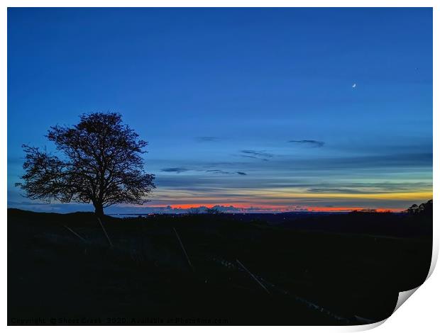 My Favourite Tree at Sunset II Print by Shoot Creek