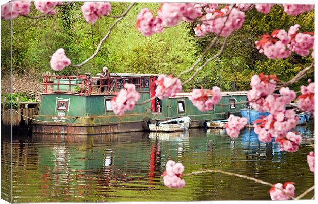 Houseboat in spring Canvas Print by Stephen Mole