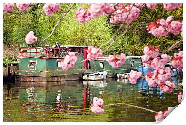 Houseboat in spring Print by Stephen Mole
