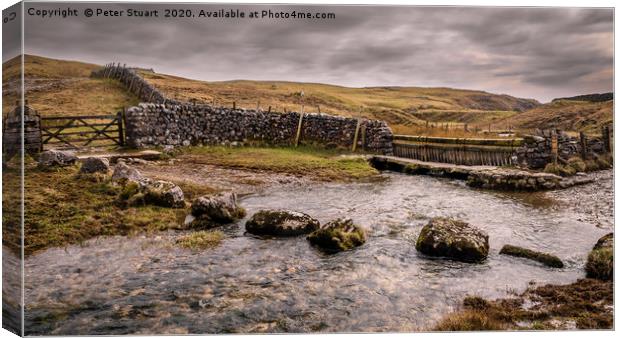 Mastiles Lane in the Yorkshire Dales Canvas Print by Peter Stuart
