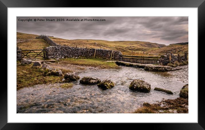 Mastiles Lane in the Yorkshire Dales Framed Mounted Print by Peter Stuart
