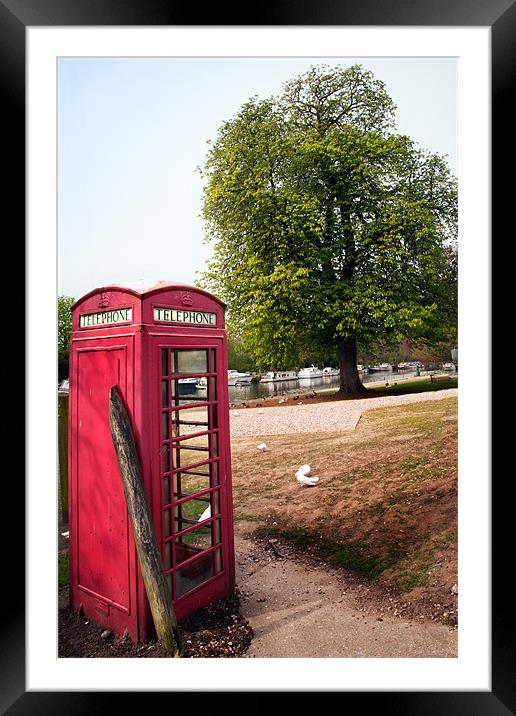 Red Telephone Box in spring Framed Mounted Print by Stephen Mole