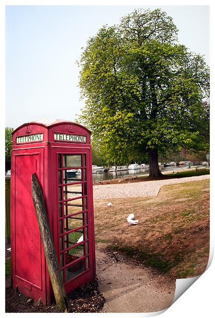 Red Telephone Box in spring Print by Stephen Mole