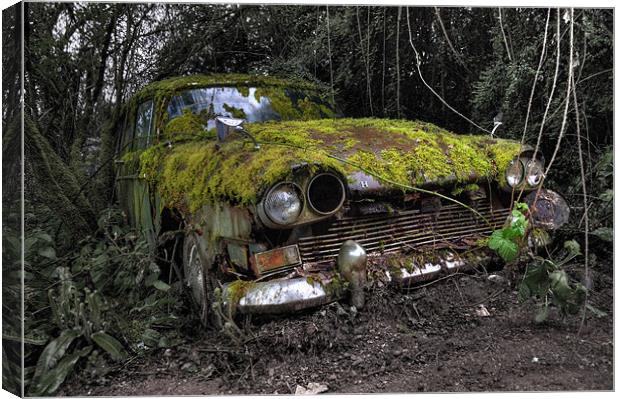 A (non) rolling car gathers some moss Canvas Print by Rob Hawkins