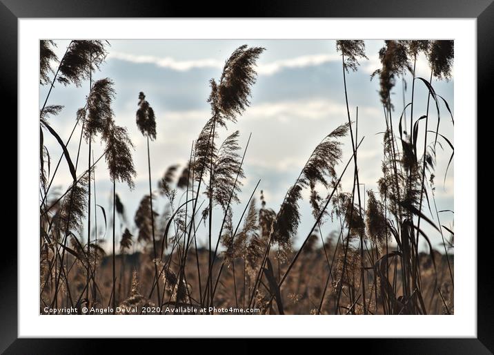 With the Wind Framed Mounted Print by Angelo DeVal