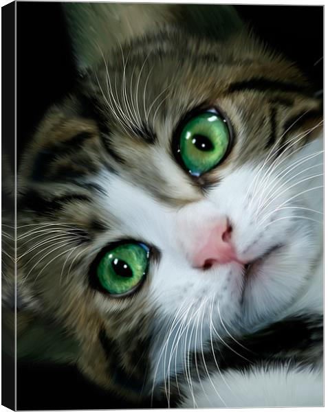 Kitten Canvas Print by Alice Gosling