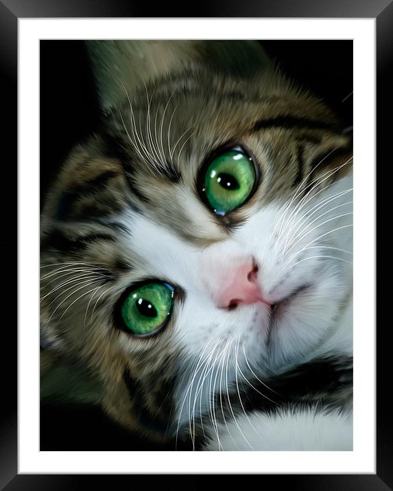 Kitten Framed Mounted Print by Alice Gosling