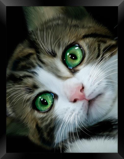 Kitten Framed Print by Alice Gosling