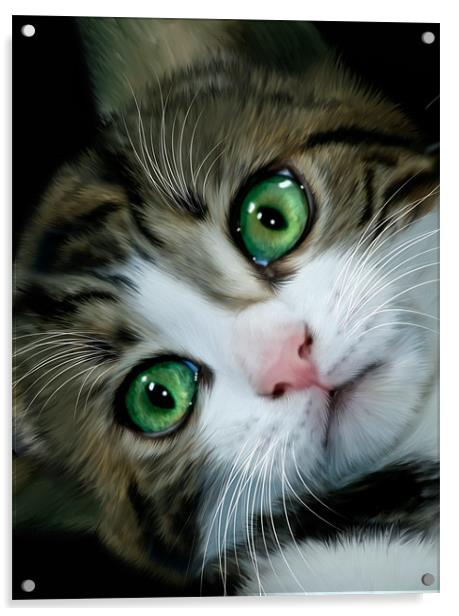 Kitten Acrylic by Alice Gosling
