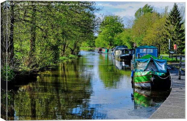 Leeds and Liverpool Canal  Canvas Print by Diana Mower