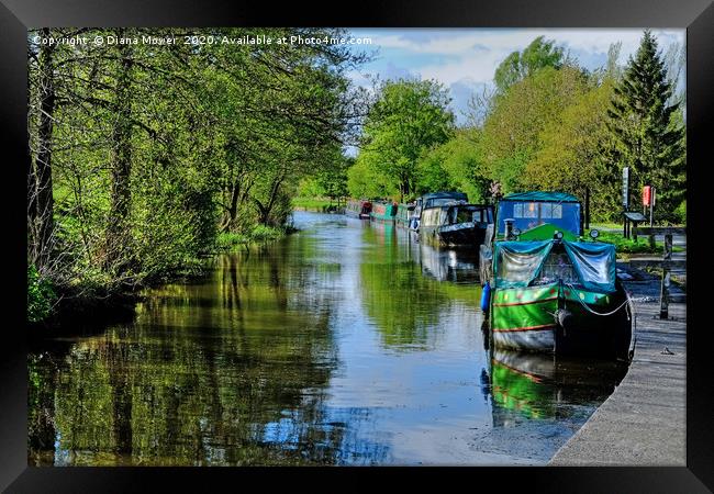 Leeds and Liverpool Canal  Framed Print by Diana Mower