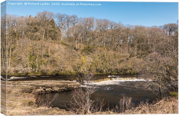 A River Tees cascade at Whorlton in Spring Sun Canvas Print by Richard Laidler