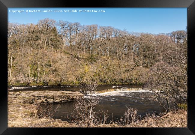 A River Tees cascade at Whorlton in Spring Sun Framed Print by Richard Laidler