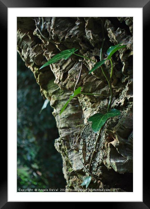 Green Little Nature Framed Mounted Print by Angelo DeVal