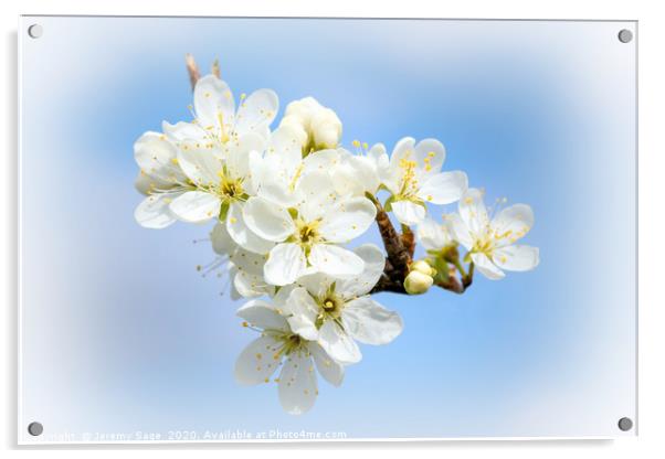 A Serene Spring Scene Acrylic by Jeremy Sage