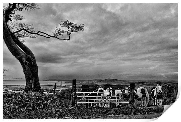 Upland Ponies Print by Brian Beckett