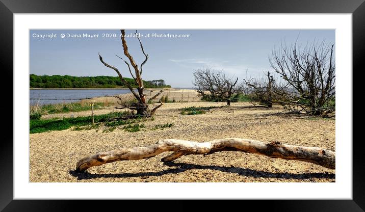 Covehithe Beach Suffolk Framed Mounted Print by Diana Mower
