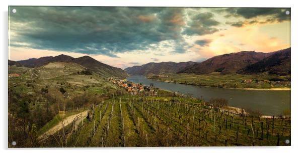 Spring time in Wachau valley. View to Spitz villag Acrylic by Sergey Fedoskin