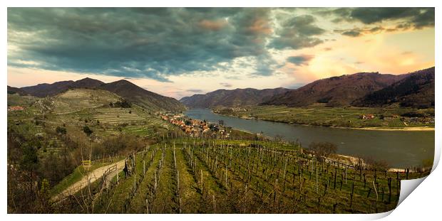 Spring time in Wachau valley. View to Spitz villag Print by Sergey Fedoskin