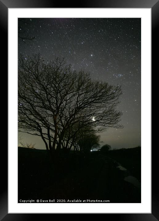 Night Sky Through Trees. Framed Mounted Print by Dave Bell