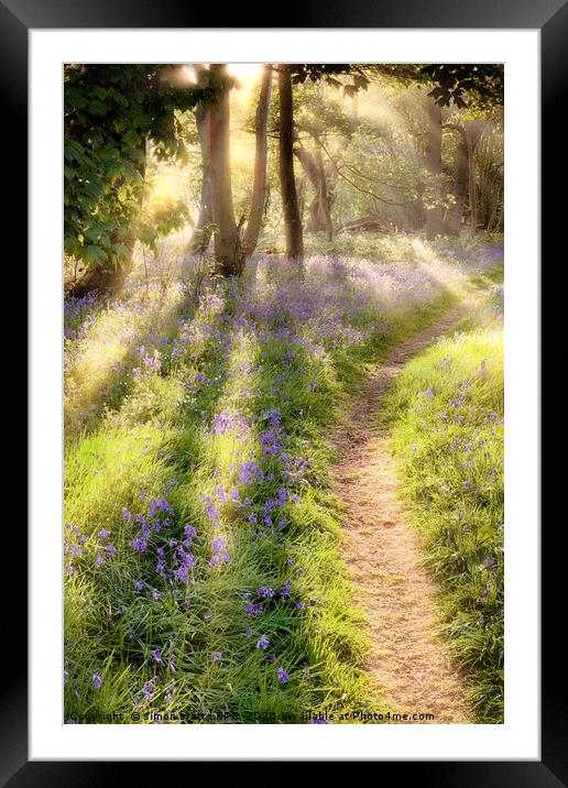 Bluebell forest path at dawn sunrise Framed Mounted Print by Simon Bratt LRPS