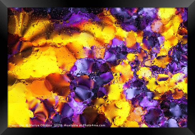 Purple and gold abstract background. Framed Print by Mariya Obidina