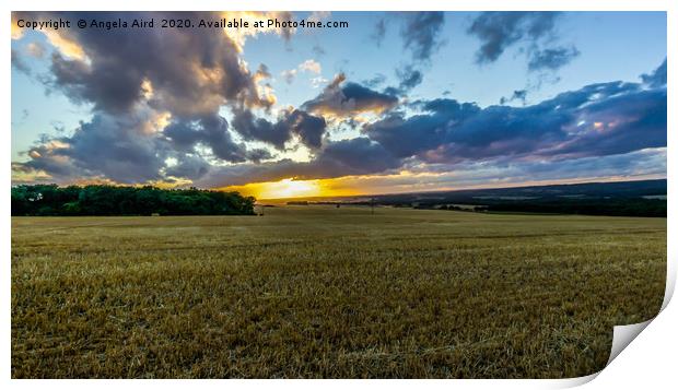 Golden Skies. Print by Angela Aird