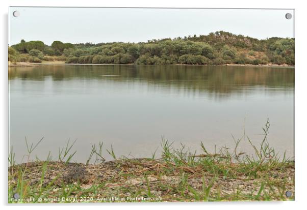 Peaceful view in Povoa e Meadas Dam Acrylic by Angelo DeVal