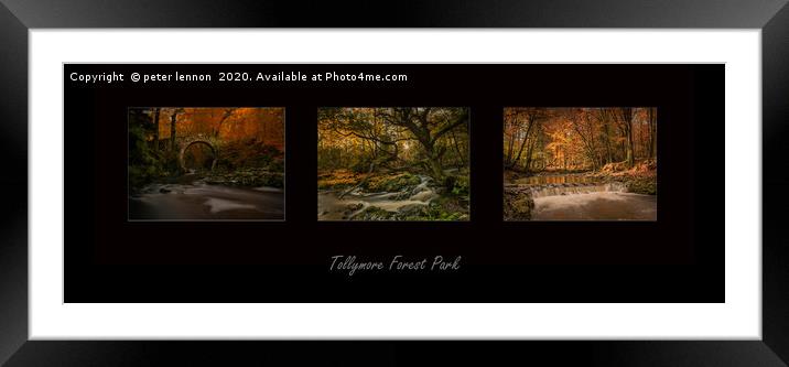 Tollymore Tryptch  Framed Mounted Print by Peter Lennon