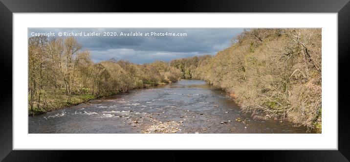 The River Tees at Whorlton Early Spring Panorama Framed Mounted Print by Richard Laidler