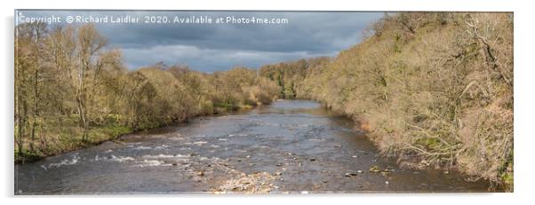 The River Tees at Whorlton Early Spring Panorama Acrylic by Richard Laidler