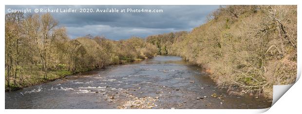The River Tees at Whorlton Early Spring Panorama Print by Richard Laidler