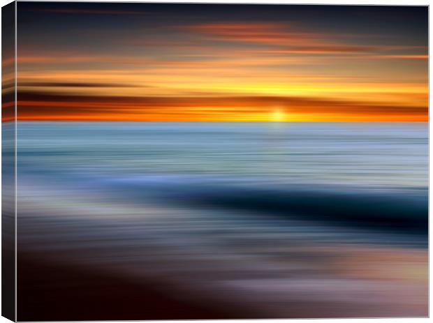The Lone Wave Canvas Print by David Neighbour