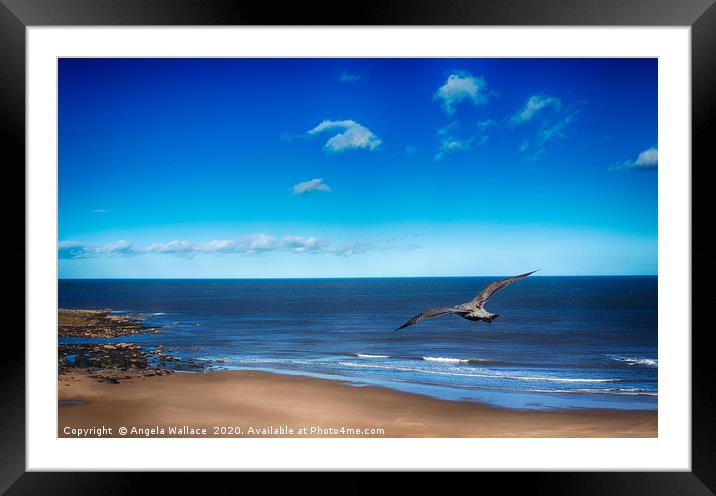A Birds Eye View Framed Mounted Print by Angela Wallace